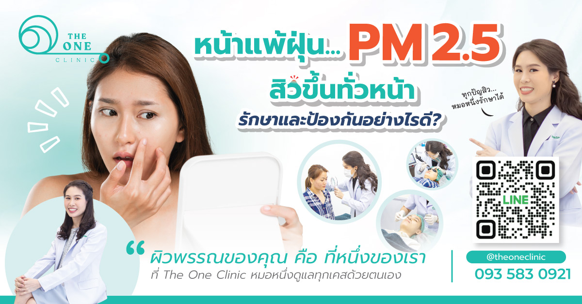หน้าแพ้ฝุ่น PM2.5