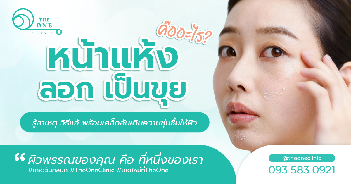 หน้าลอก แห้ง